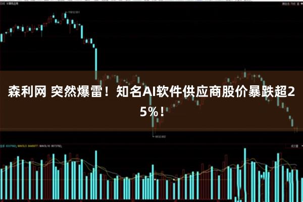 森利网 突然爆雷！知名AI软件供应商股价暴跌超25%！